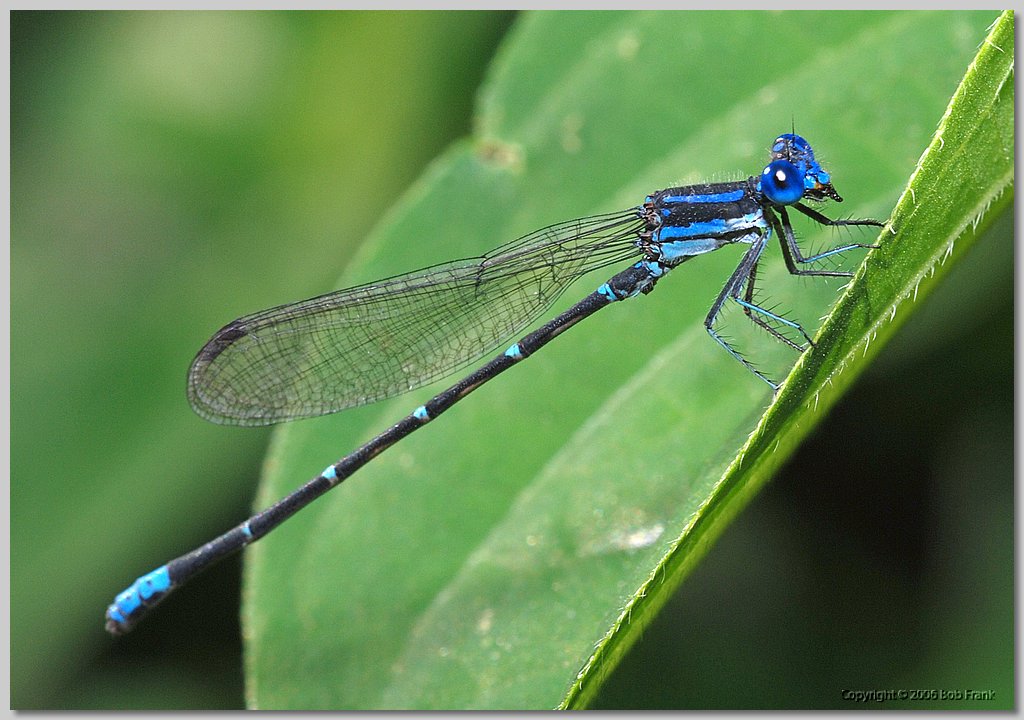 DSC_0150.jpg