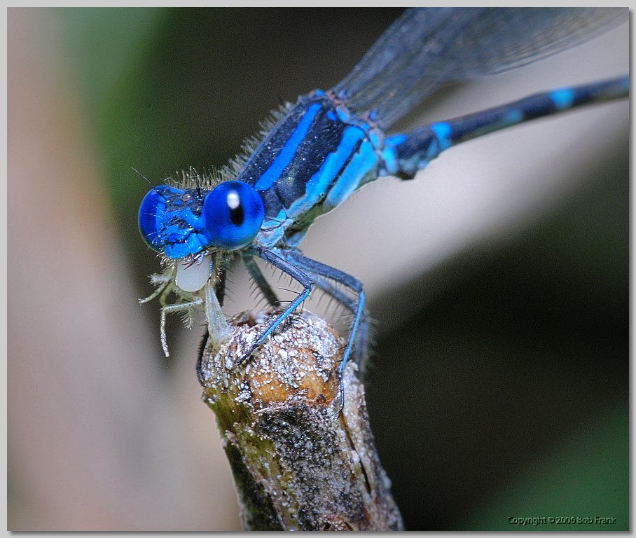 DSC_0175.jpg