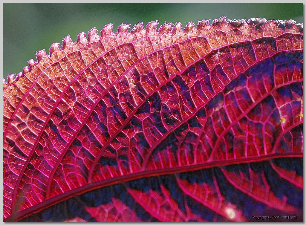 DSC_0269.jpg