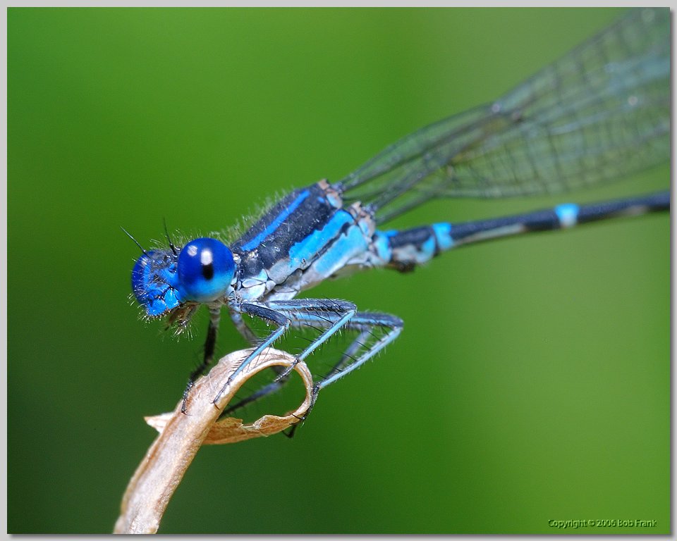 DSC_0352.jpg