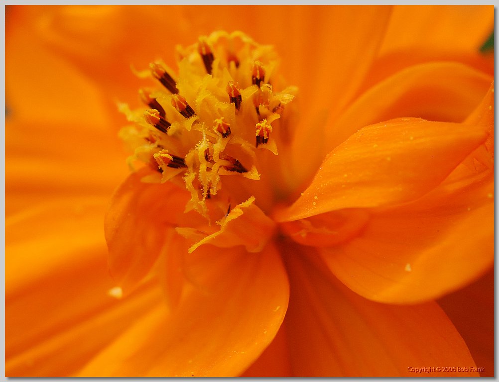 DSC_0673.jpg