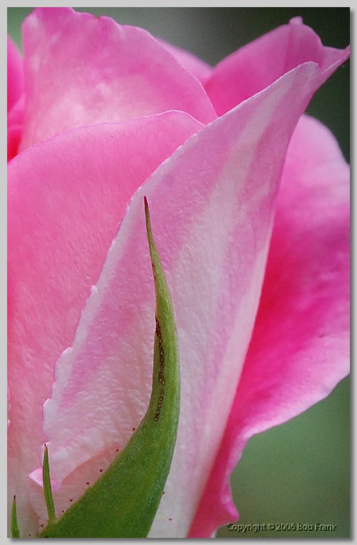 DSC_0760_cp.jpg