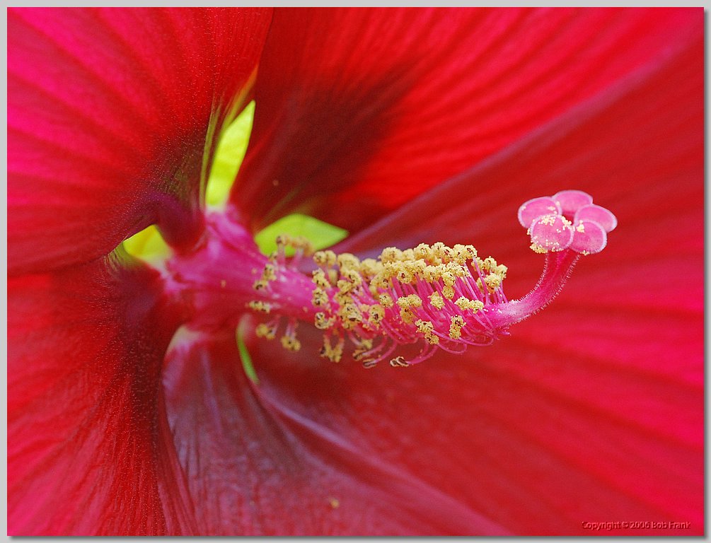 DSC_0774.jpg