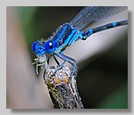 DSC_0175.jpg