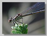 DSC_0399.jpg