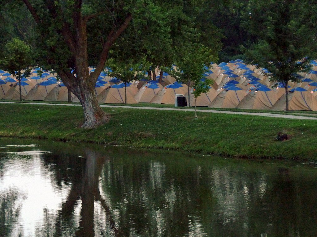 P1020885.jpg
