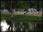 P1020885.jpg