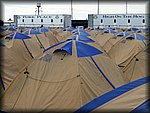 P1000774.jpg