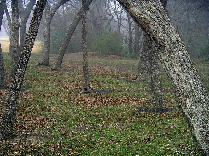 IMGP1498.JPG