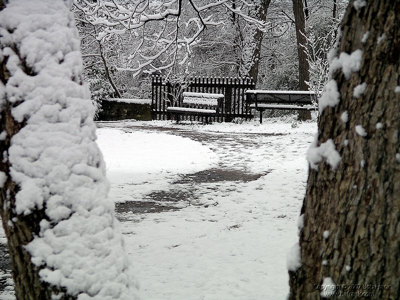 Snow_Park5.jpg