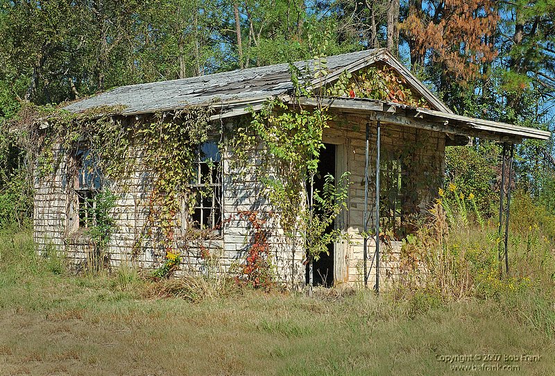 cabin.jpg