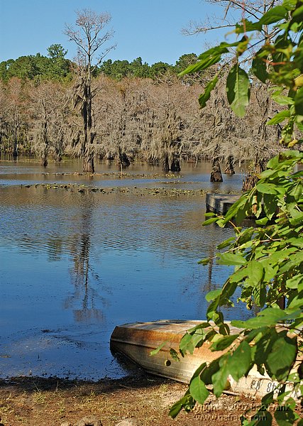 cado_lake4.jpg