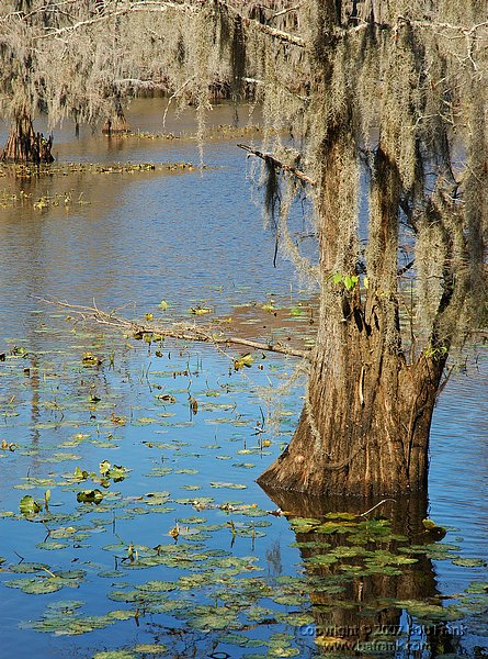 cado_lake5.jpg