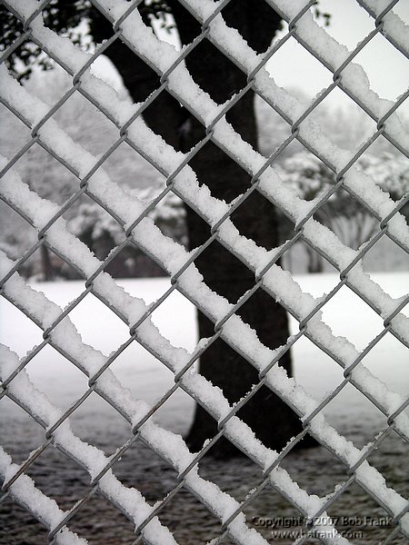 chain_Link_fence.jpg