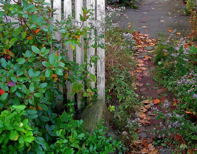 fence_rev2.jpg