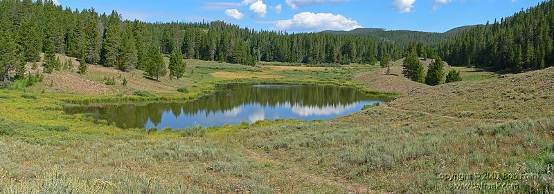 pond_pan.jpg