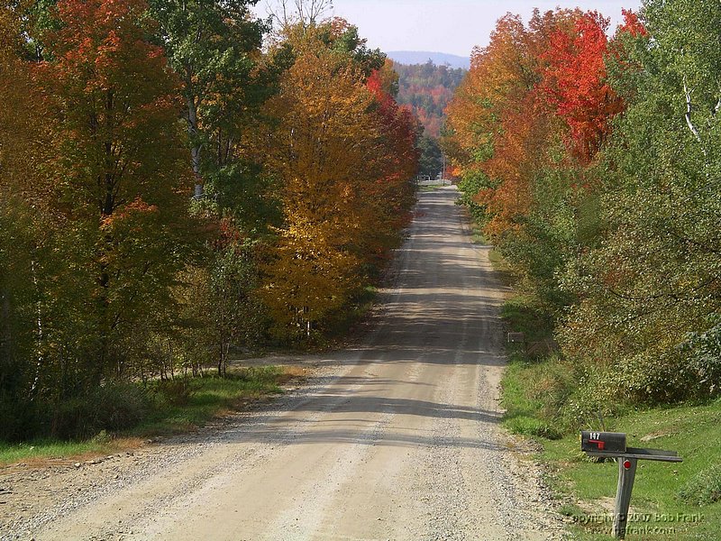 road.jpg