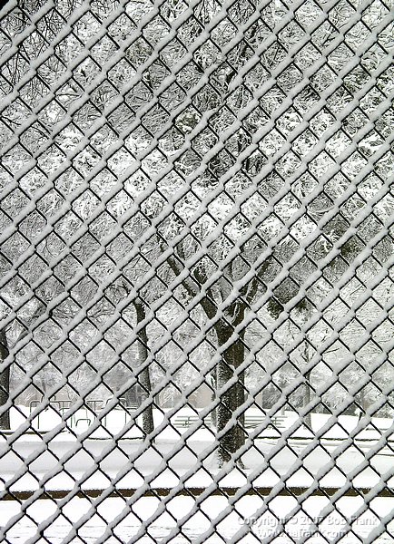 snow_fence3_rev.jpg