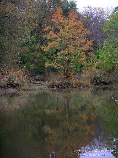 water_reflections2.jpg
