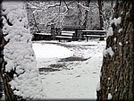Snow_Park5.jpg