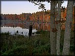 Sunrise_Trees.jpg