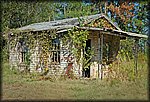 cabin.jpg