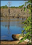cado_lake4.jpg