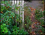 fence_rev2.jpg
