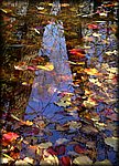 reflections of fall.jpg