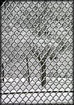 snow_fence3.jpg