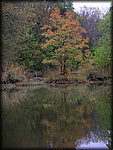 water_reflections2.jpg