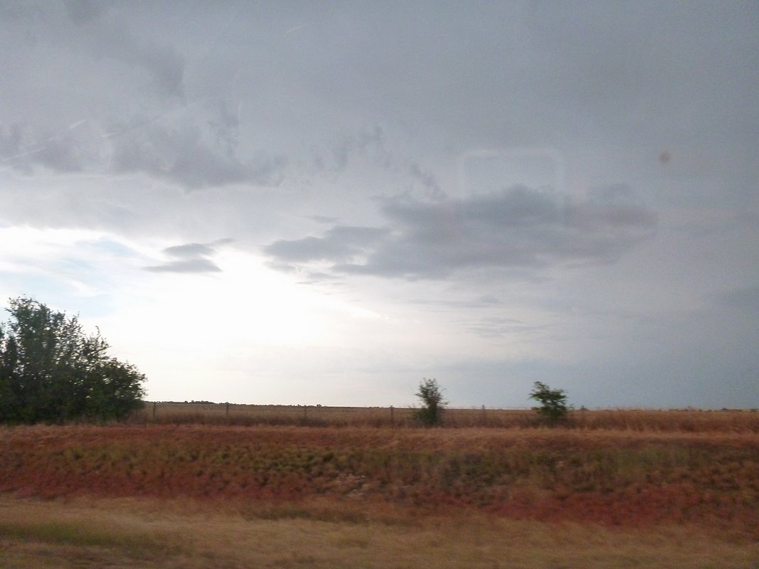 P1010217.JPG