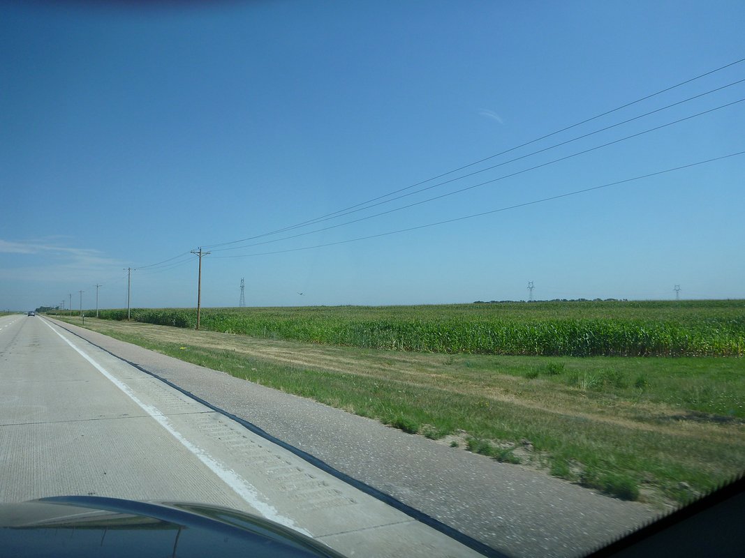 P1010229.JPG