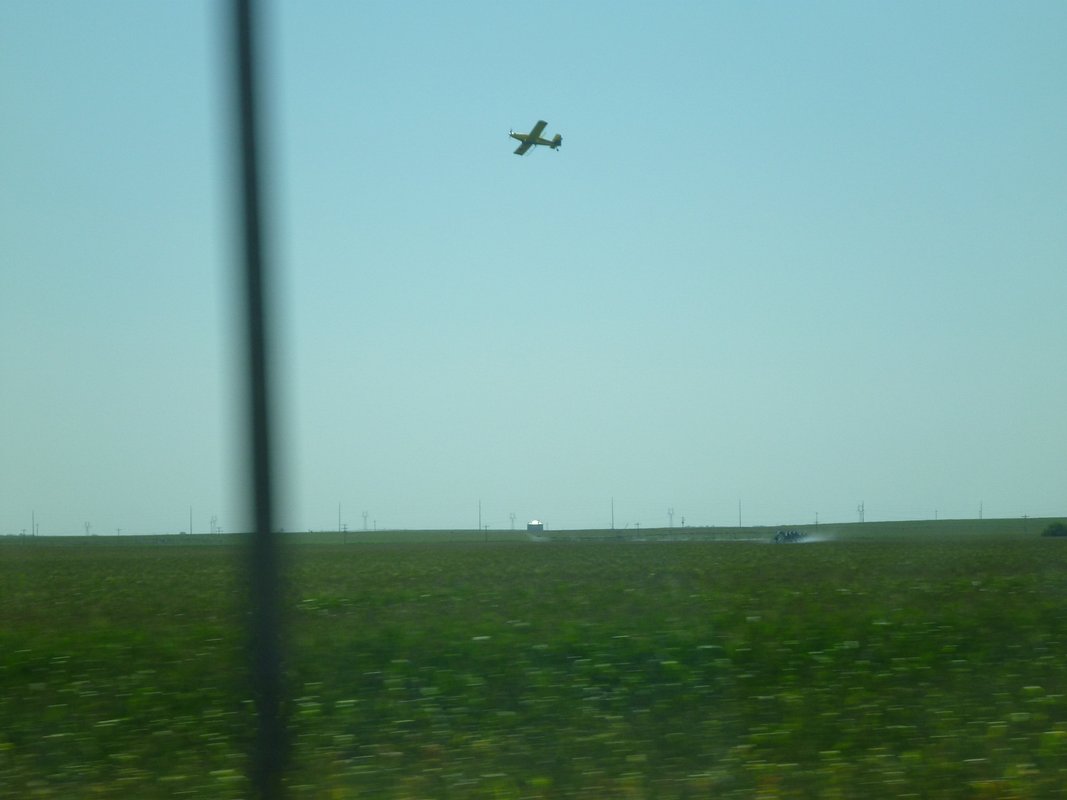 P1010232.JPG