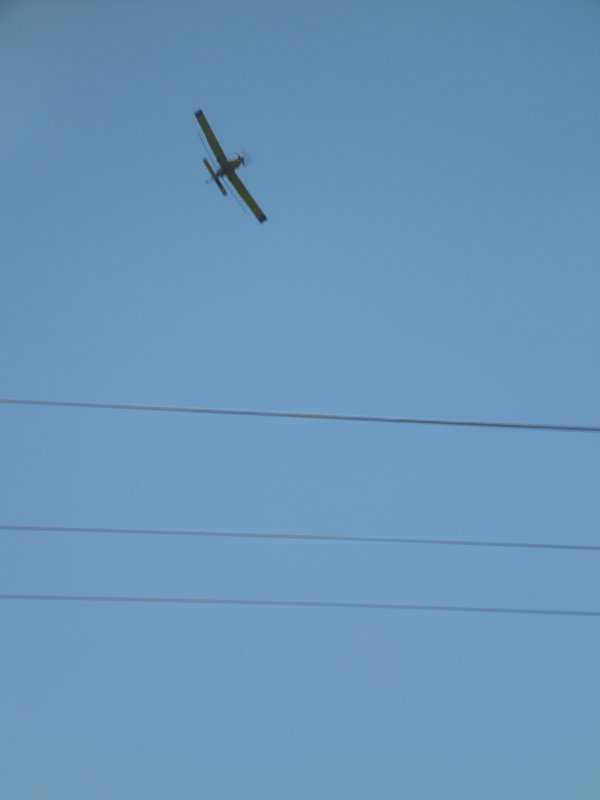 P1010233.JPG