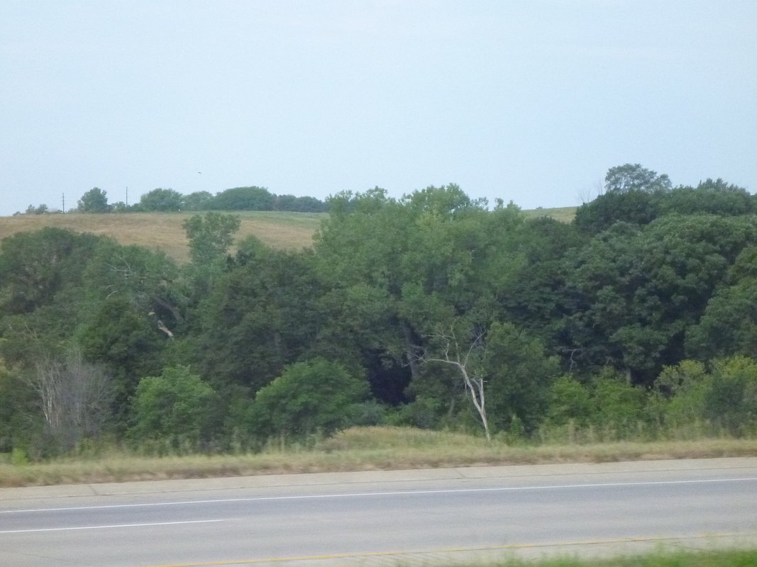 P1010251.JPG