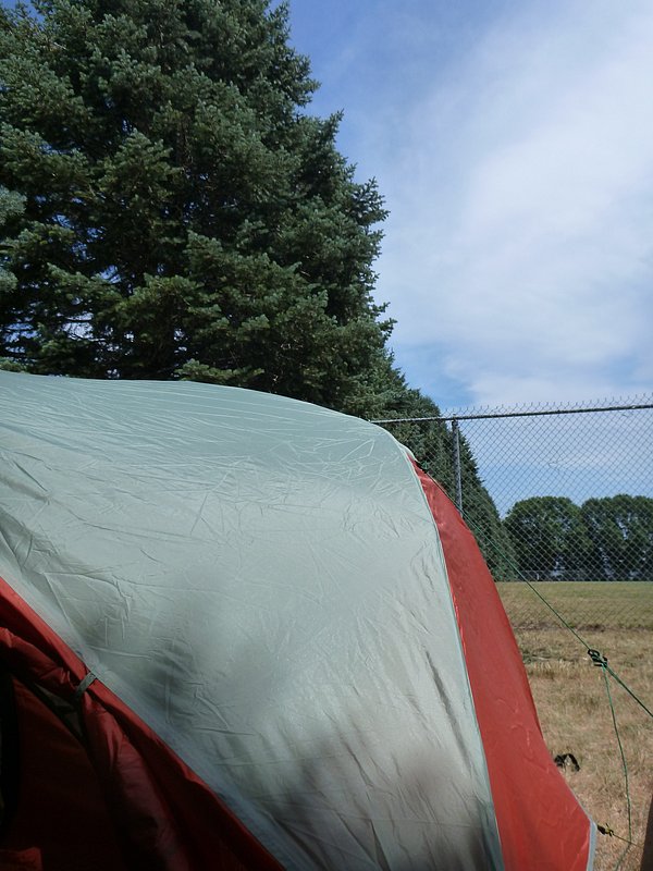 P1010260.JPG