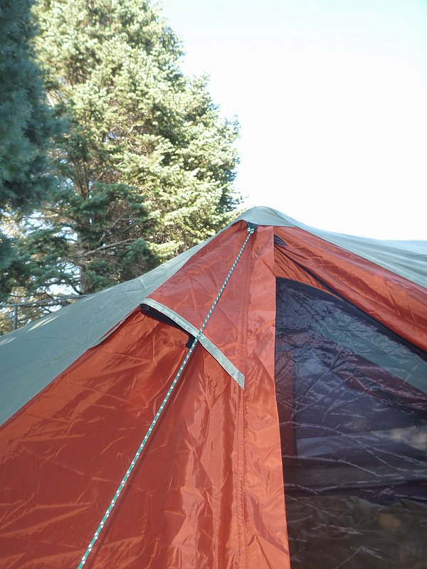 P1010280.JPG
