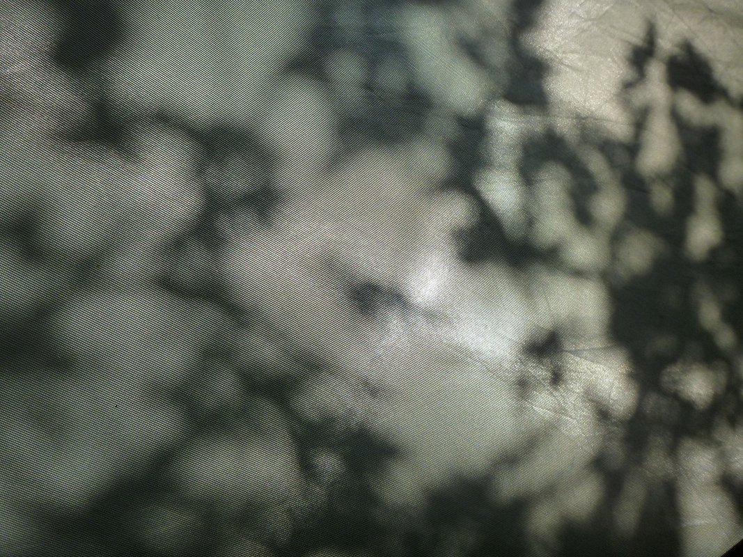 P1010361.JPG
