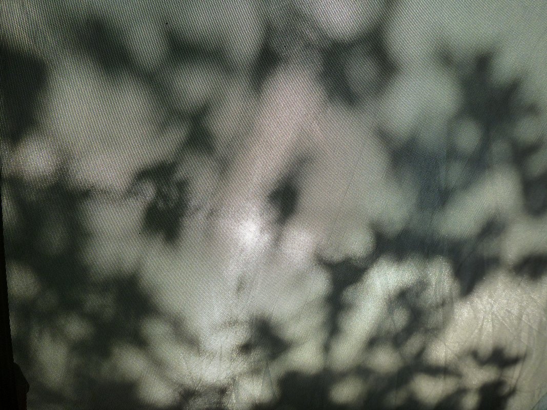 P1010362.JPG