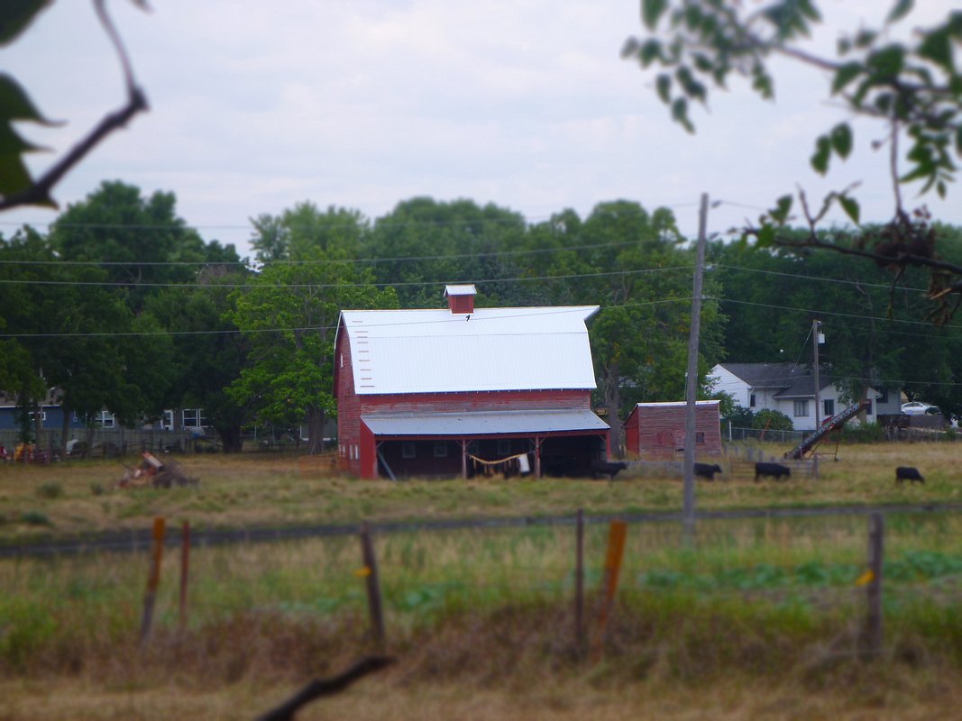 P1010383.JPG