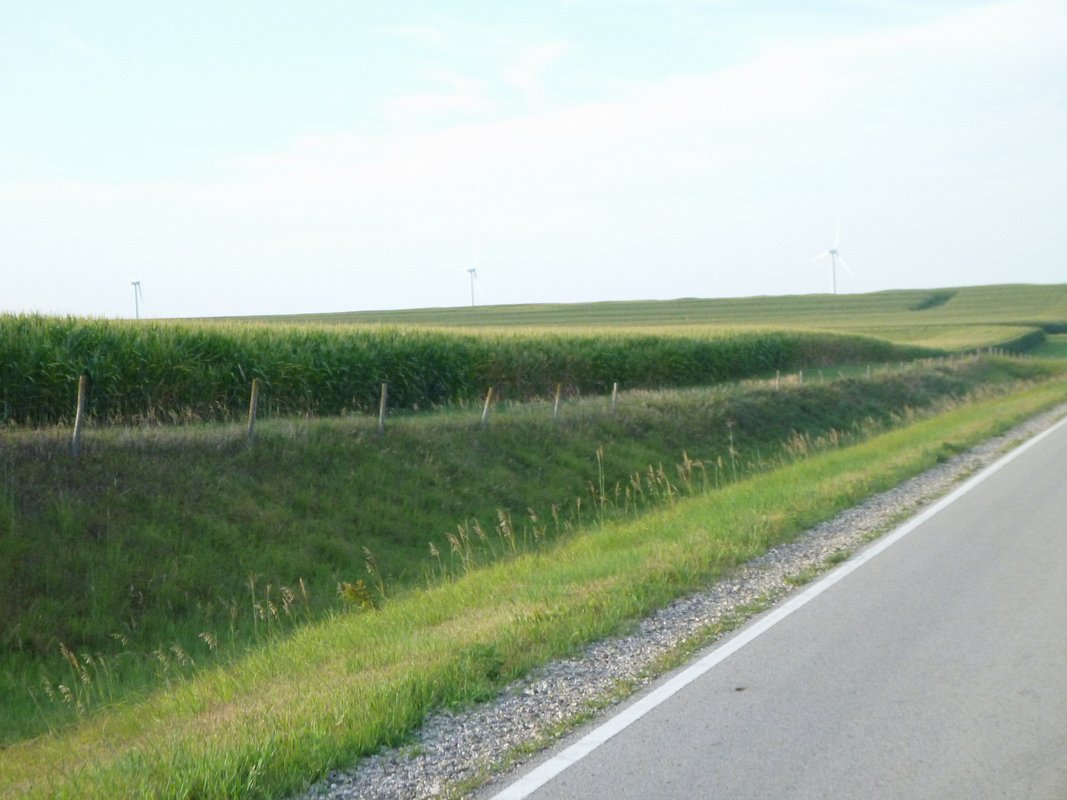 P1010410.JPG