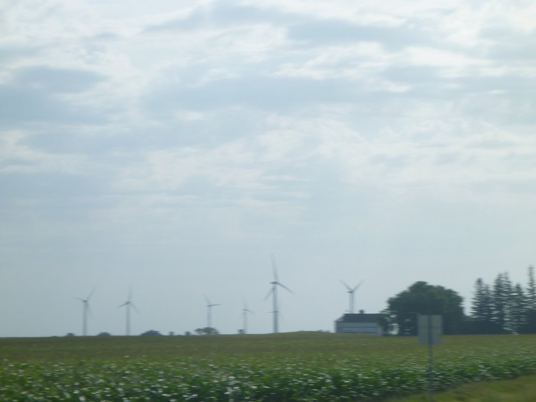 P1010535.JPG
