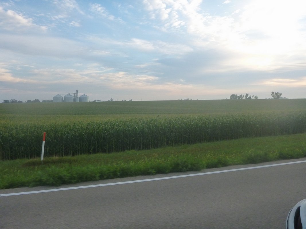 P1010570.JPG