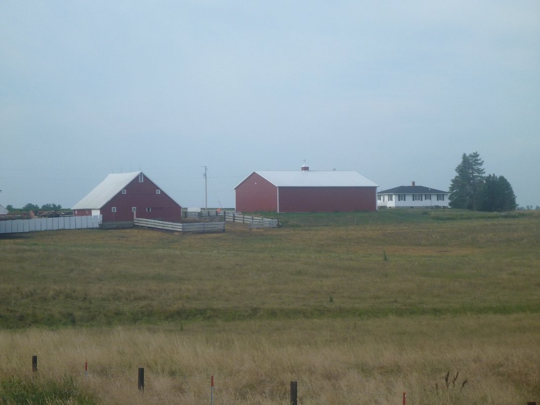 P1010577.JPG