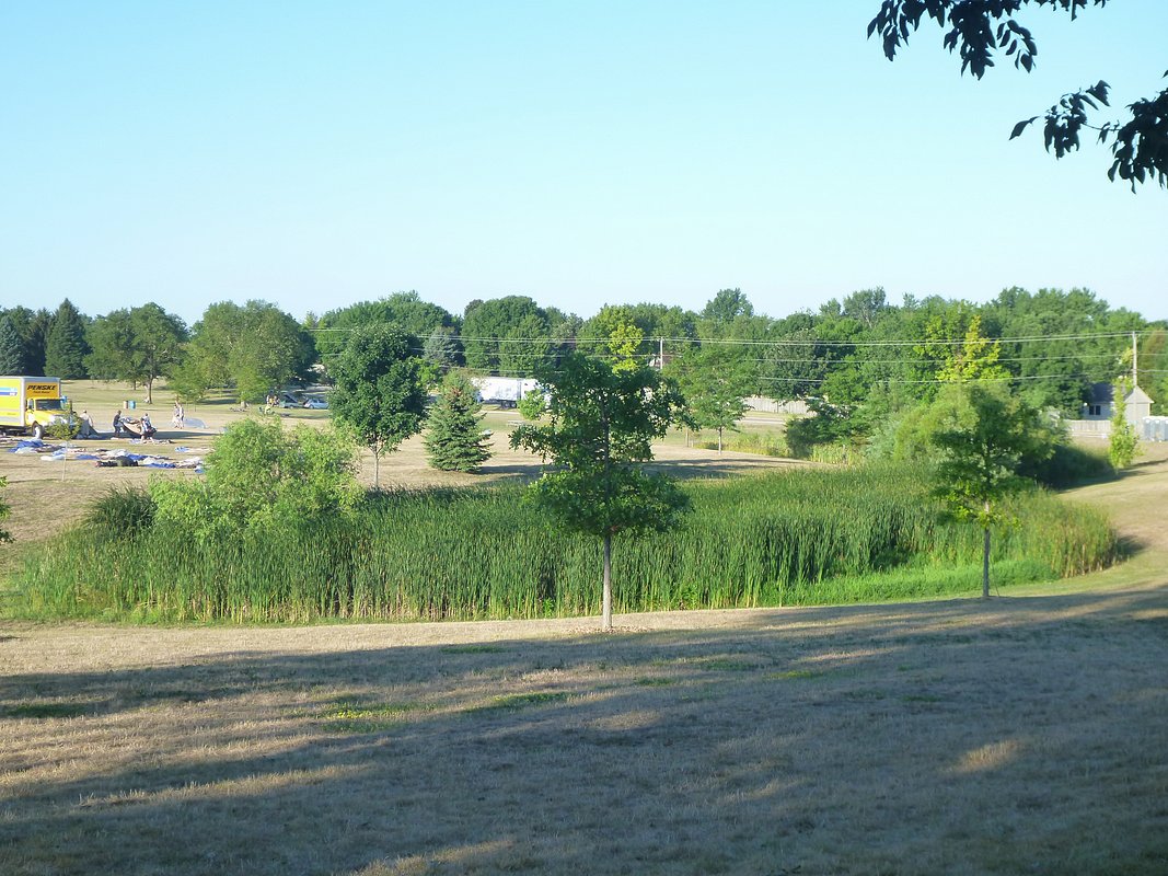 P1010635.JPG