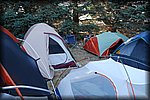 DSC_8475.JPG