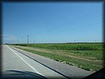 P1010229.JPG
