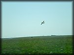 P1010231.JPG