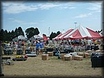 P1010268.JPG